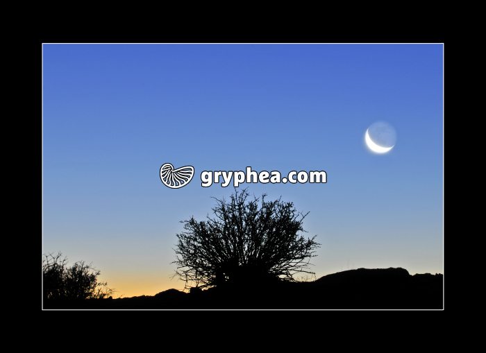 Sunrise at Arches NP (Utah, USA) - gryphea.com